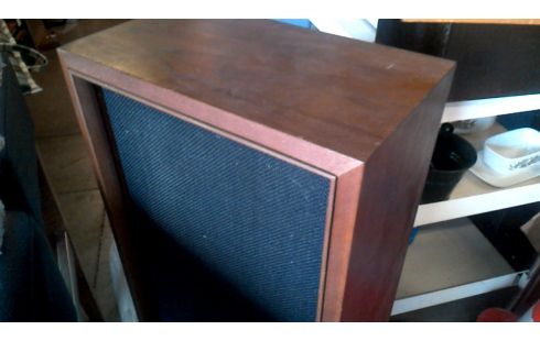 PAIRE DE HAUT PARLEUR