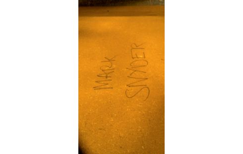 PEINTURE MARK SNYDER