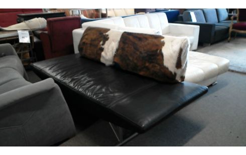 CANAPE CUIR MODELE COR