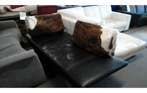 CANAPE CUIR MODELE COR