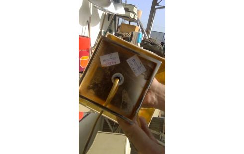 LAMPE MAISON LE  DAUPHIN SIGNEE