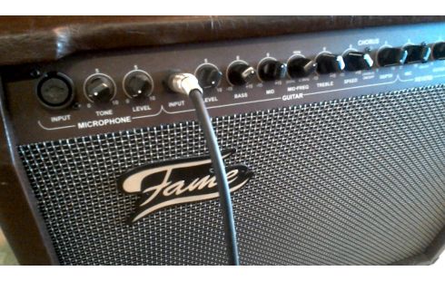 AMPLI GUITARE FAME ACOUSTIQUE AE-60