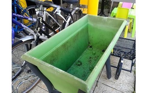 JARDINIERE VERTE PLASTIQUE