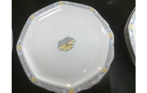 SERVICE DE TABLE LIMOGES HAVILAND PAMPLEMOUSSE