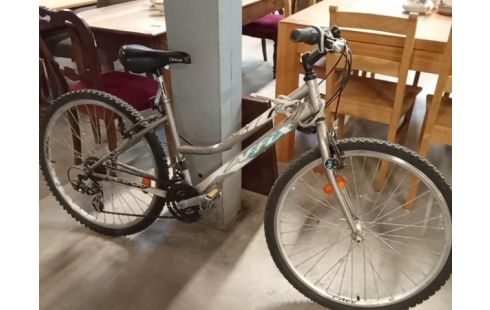 VELO GO SPORT AFFIX GRIS