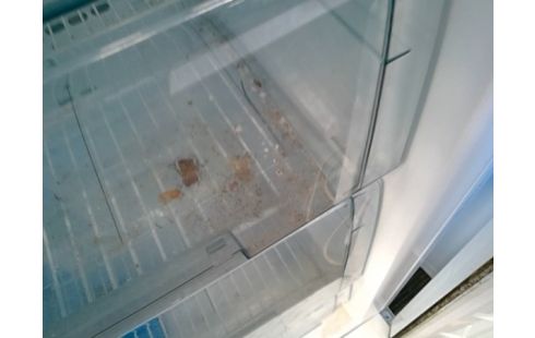 CONGELATEUR ARMOIRE ELECTROLUX EN L  ETAT