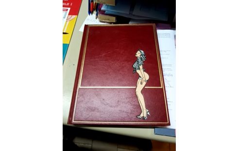 BD ÉROTIQUE 15 VOLUMES