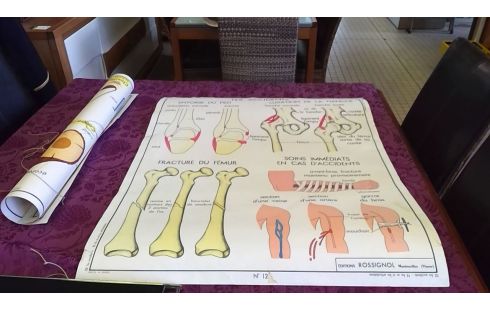 CARTEL ESCOLAR DOBLE