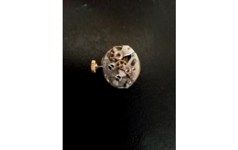 MÉCANISME MONTRE SUISSE RÉGIS 17 RUBIS