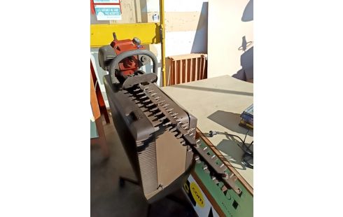 TAILLE HAIE THERMIQUE