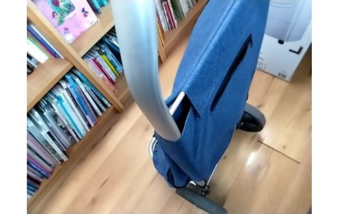 CADDIE A PROVISIONS BLEU