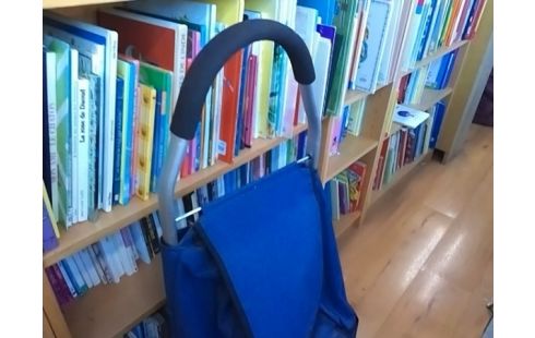 CADDIE A PROVISIONS BLEU