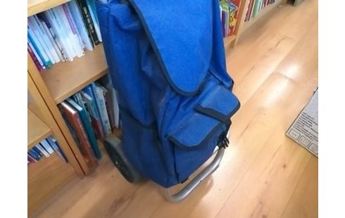 CADDIE A PROVISIONS BLEU