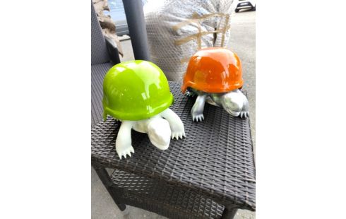 TORTUE CASQUE
