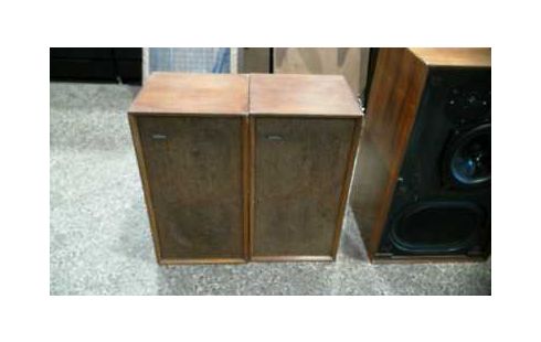 ENCEINTE GOODMAN MINISTER SL LA PAIRE