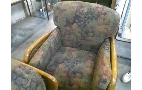 FAUTEUILS ROCHE ET BOBOIS CANNAGE TISSUS