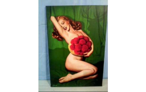 BILD A.L. BOLLENHUT <ULRICH.KLINKOSCH>