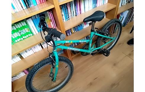 VELO ENFANT ROCKRIDER 20