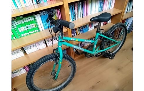 VELO ENFANT ROCKRIDER 20