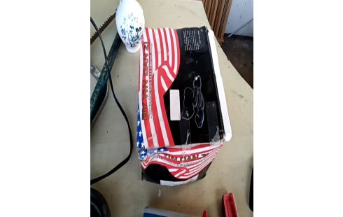 MÉGAPHONE ALARME VOITURE