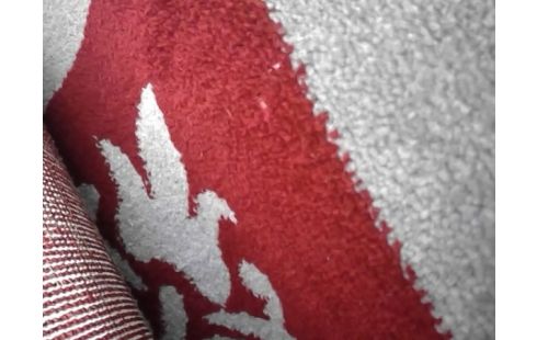 TAPIS 200X 300 SULTANIM MECANIQUE ROUGE BEIGE