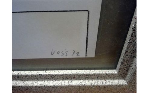 LITHOGRAPHIE NUMEROTE SIGNE VOSS