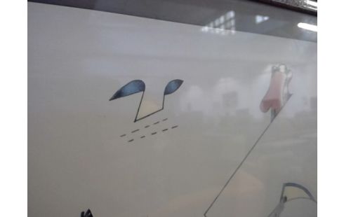 LITHOGRAPHIE NUMEROTE SIGNE VOSS