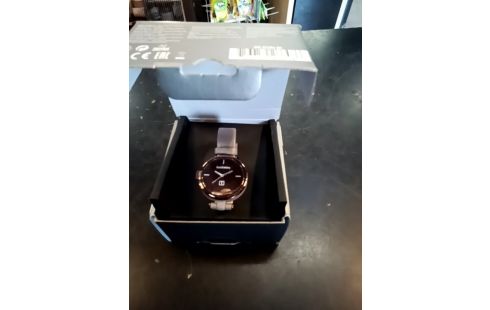 MONTRE GARMIN LILY CLASSIC