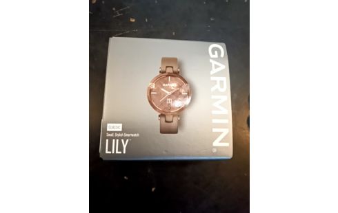 MONTRE GARMIN LILY CLASSIC