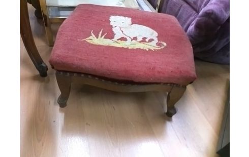 REPOSE PIED ROUGE CHAT