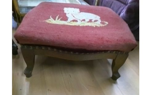 REPOSE PIED ROUGE CHAT