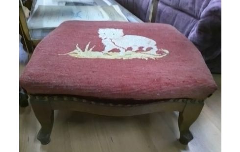 REPOSE PIED ROUGE CHAT