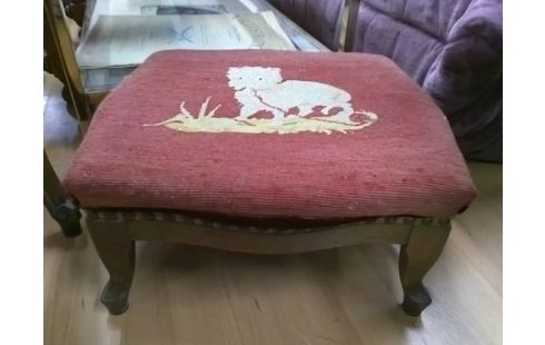 REPOSE PIED ROUGE CHAT