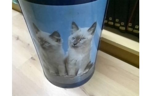 PORTE PARAPLUIE CHATS