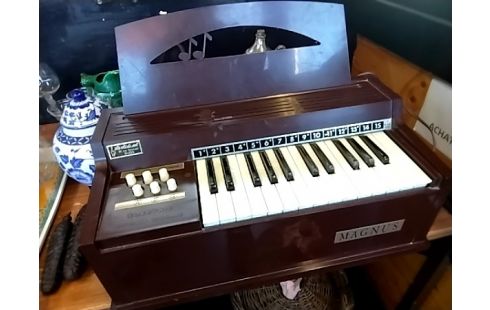 INSTRUMENT DE MUSIQUE ORGUE MAGNUS