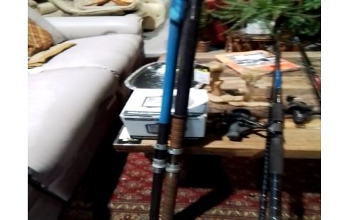 CANNE A PECHE SANS MOULINET