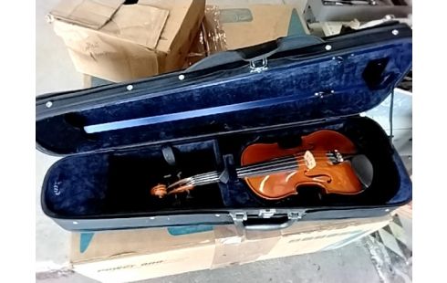 VIOLON + ÉTUIS  SANS ARCHET