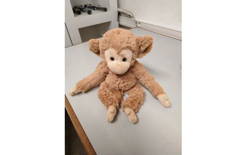 PELUCHE BERNARD SINGE BEIGE