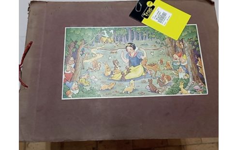 LIVRE ALBUM WALT DISNEY