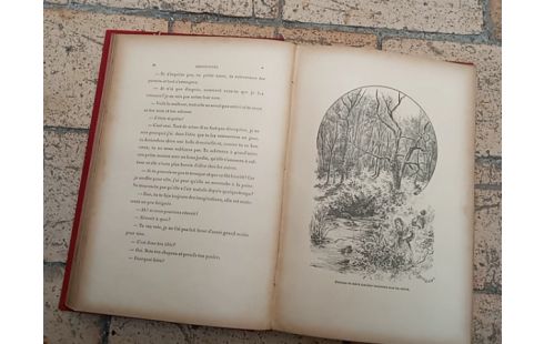 LIVRE ABANDONNÉE DE RIBOULET
