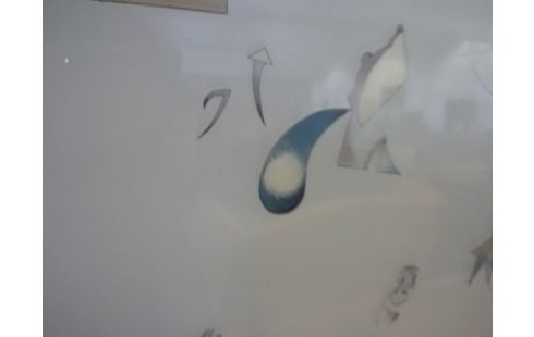 LITHOGRAPHIE NUMEROTE SIGNE VOSS