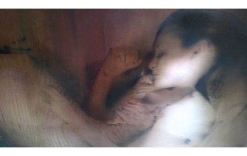 SCHILDERIJ NAAKT JACQUELINE DEVREUX 180BX135H