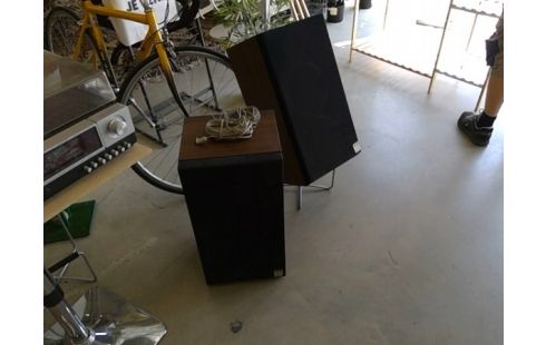 ENCEINTE PAIRE SIARE