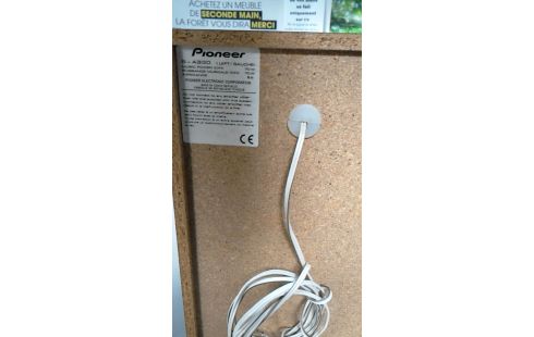 HAUT PARLEUR PIONEER LA PAIRE