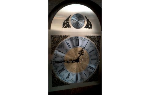 KLOK STAAND TEMPUS FUGIT EIK STIJL LOUIS XV