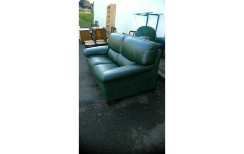 CANAPE CUIR VERT ROCHE ET BOBOIS