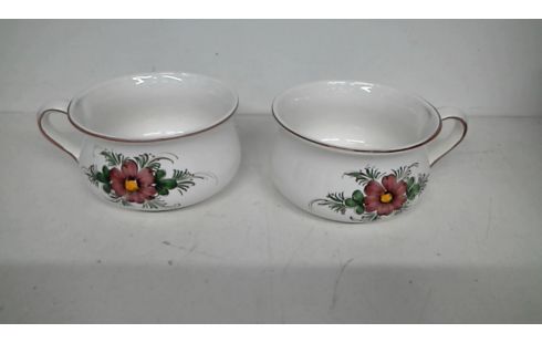 BLOEMPOTTEN \PISPOTTEN SET VAN 2