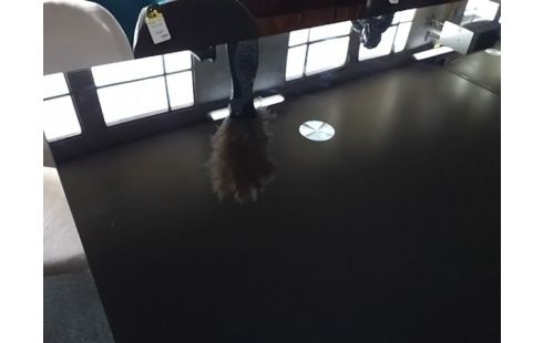 TABLE VERRE FUMEE 160X90 (QLQS RAYURES)