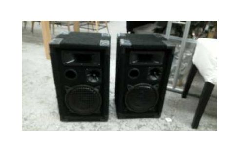 ENCEINTE  MC FARLOW