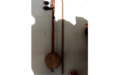 INSTRUMENT DE MUSIQUE AVEC SON ARCHET